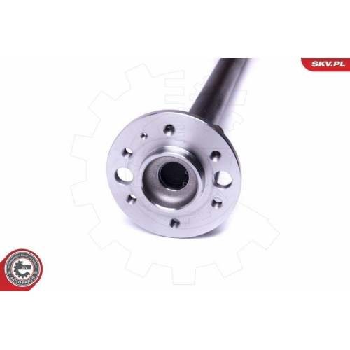 ESEN SKV Radlagersatz