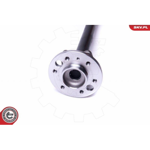 ESEN SKV Radlagersatz