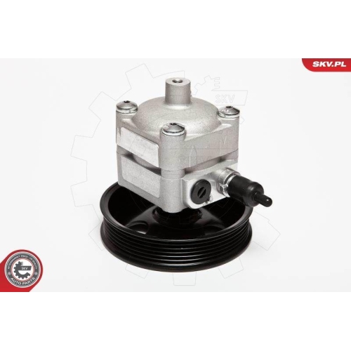 ESEN SKV Hydraulikpumpe, Lenkung