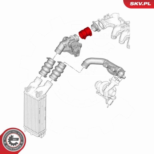 ESEN SKV Ladeluftschlauch