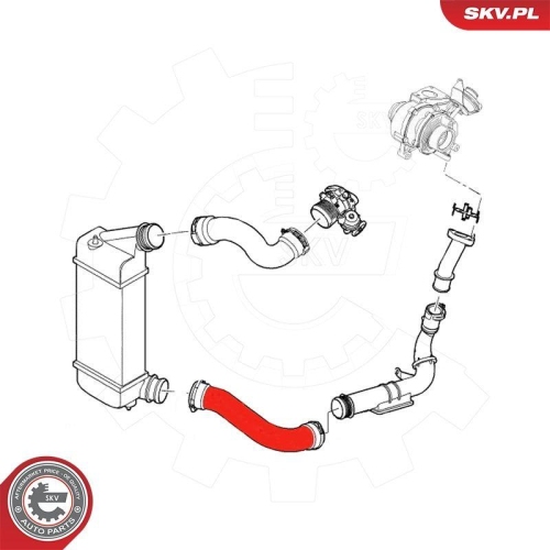 ESEN SKV Ladeluftschlauch