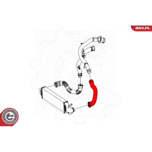 ESEN SKV Ladeluftschlauch