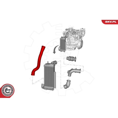 ESEN SKV Ladeluftschlauch