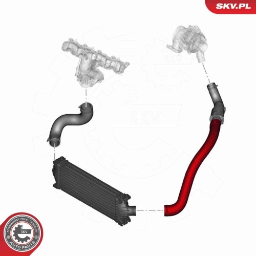 ESEN SKV Ladeluftschlauch