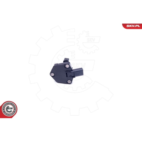 ESEN SKV Sensor, Motorölstand