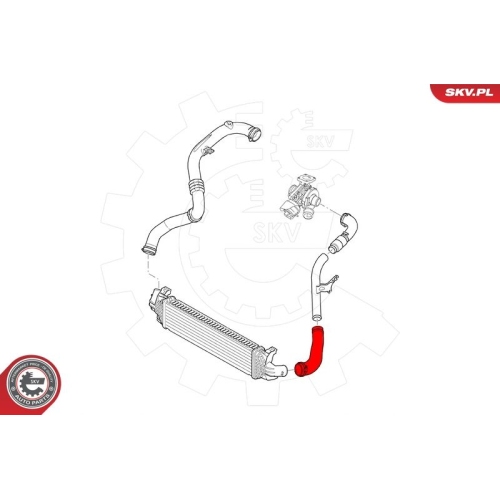 ESEN SKV Ladeluftschlauch