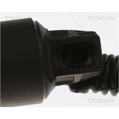 TRISCAN Gasfeder, Koffer-/Laderaum