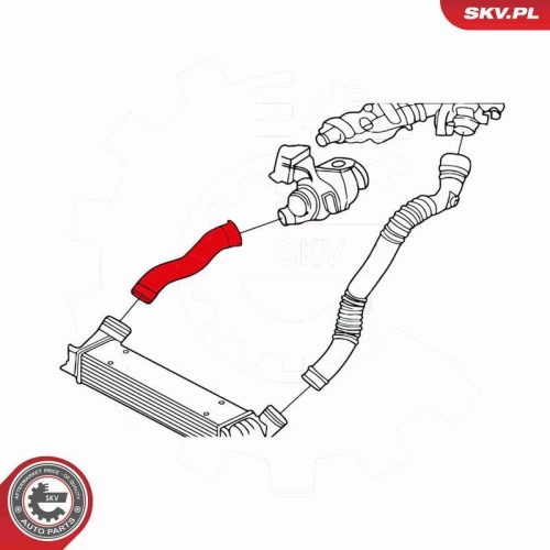 ESEN SKV Ladeluftschlauch