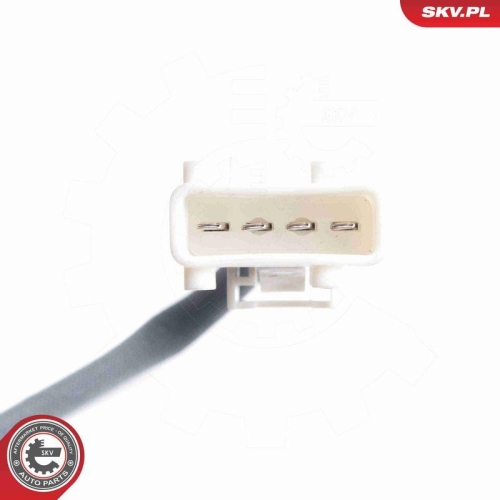 ESEN SKV Lambdasonde