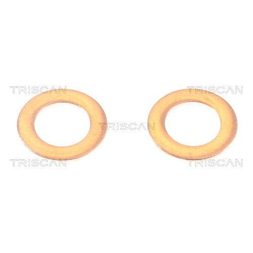 TRISCAN Bremsschlauch