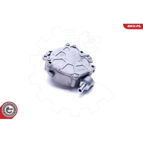 ESEN SKV Unterdruckpumpe, Bremsanlage