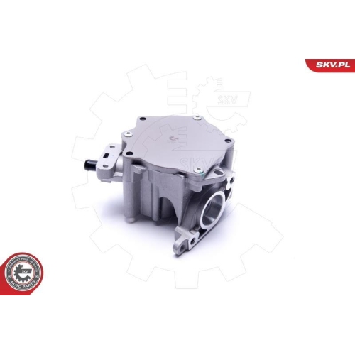 ESEN SKV Unterdruckpumpe, Bremsanlage