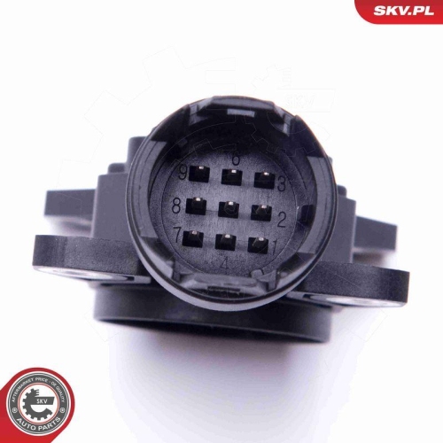 ESEN SKV Sensor, Exzenterwelle (variabler Ventilhub)