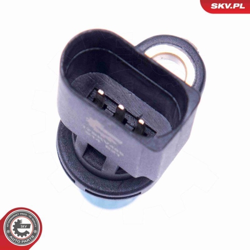 ESEN SKV Lenkwinkelsensor