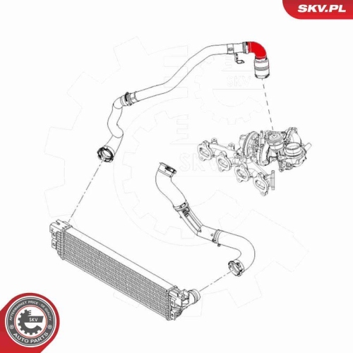 ESEN SKV Ladeluftschlauch