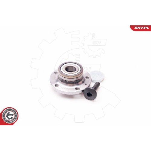 ESEN SKV Radlagersatz