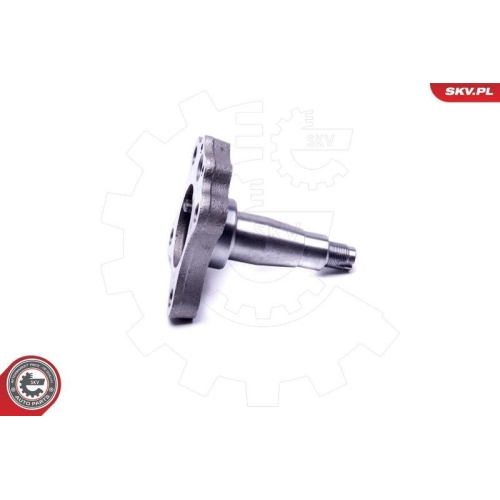 ESEN SKV Radlagersatz