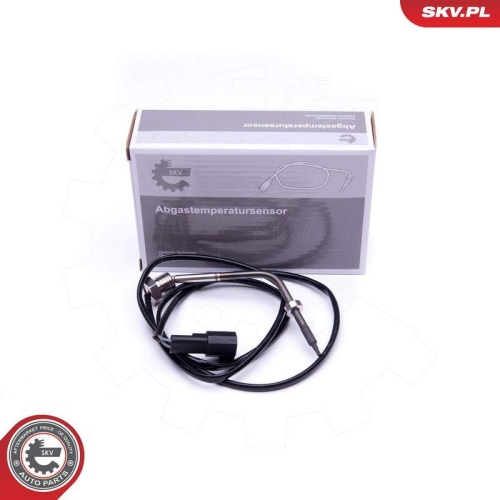 ESEN SKV Sensor, Abgastemperatur
