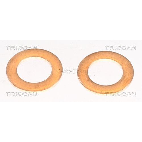 TRISCAN Bremsschlauch