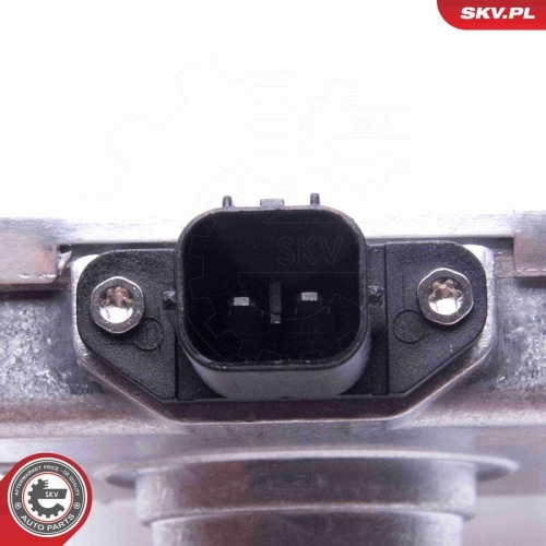 ESEN SKV Steuerger&auml;t, Beleuchtung