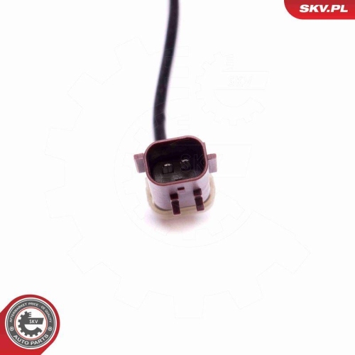 ESEN SKV Sensor, Abgastemperatur