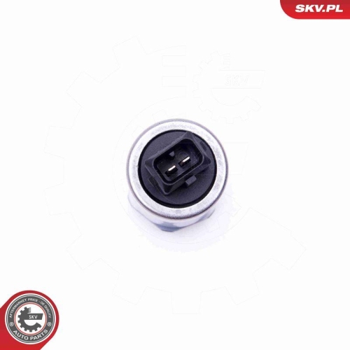 ESEN SKV Steuerventil, Nockenwellenverstellung