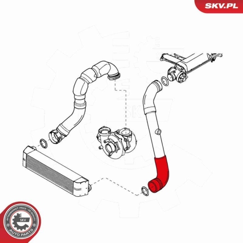 ESEN SKV Ladeluftschlauch