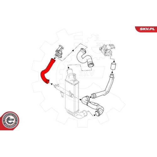 ESEN SKV Ladeluftschlauch