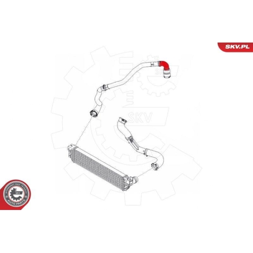 ESEN SKV Ladeluftschlauch