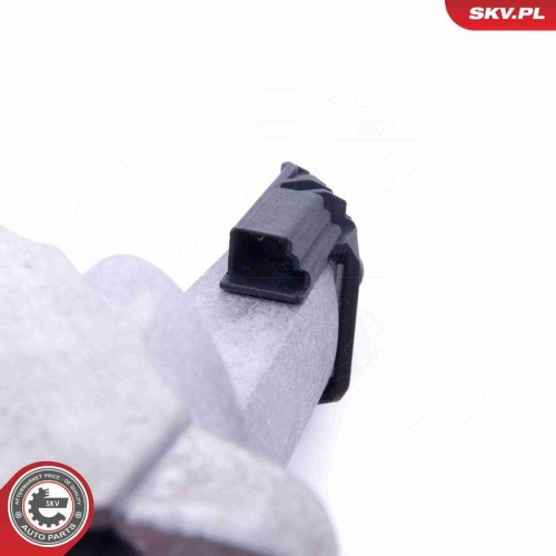 ESEN SKV Steuerger&auml;t, Beleuchtung