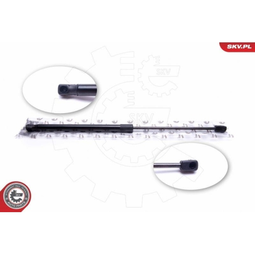 ESEN SKV Gasfeder, Koffer-/Laderaum