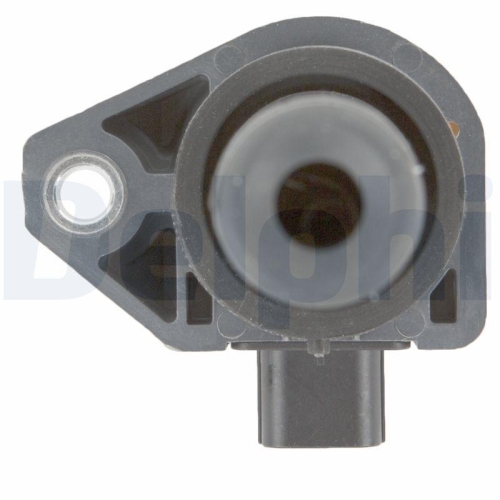 DELPHI Z&uuml;ndspule