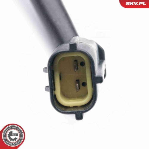 ESEN SKV Lambdasonde