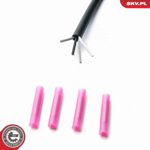 ESEN SKV Lambdasonde