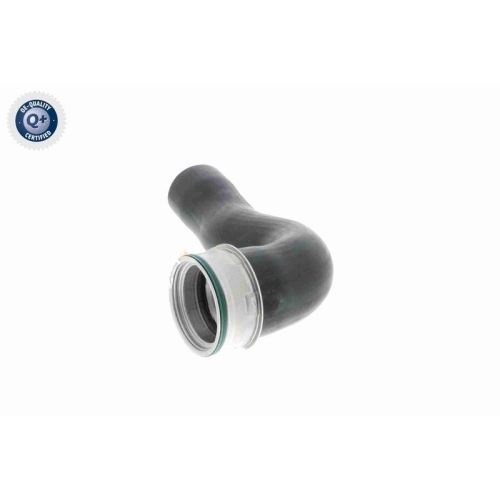 VAICO Ladeluftschlauch Q+, Erstausr&uuml;sterqualit&auml;t