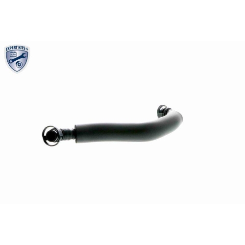 VAICO Reparatursatz, Kurbelgehäuseentlüftung EXPERT KITS +