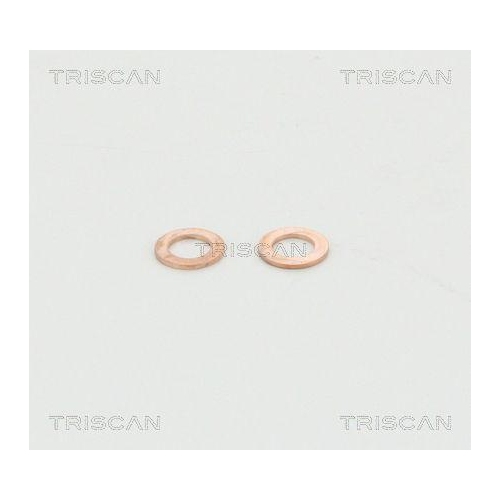 TRISCAN Bremsschlauch