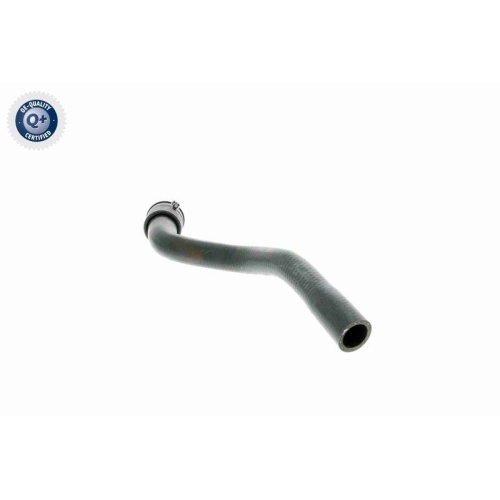 VAICO K&uuml;hlerschlauch Q+, Erstausr&uuml;sterqualit&auml;t