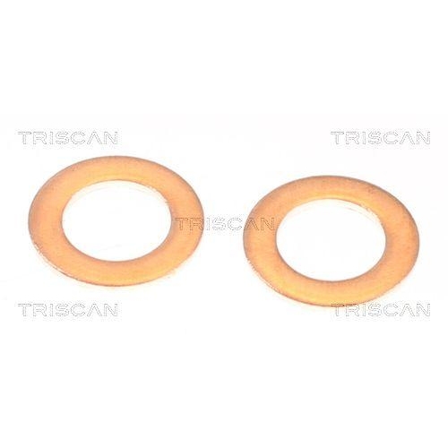 TRISCAN Bremsschlauch