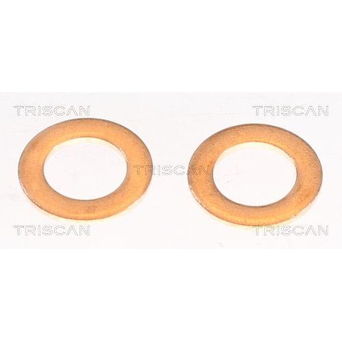 TRISCAN Bremsschlauch