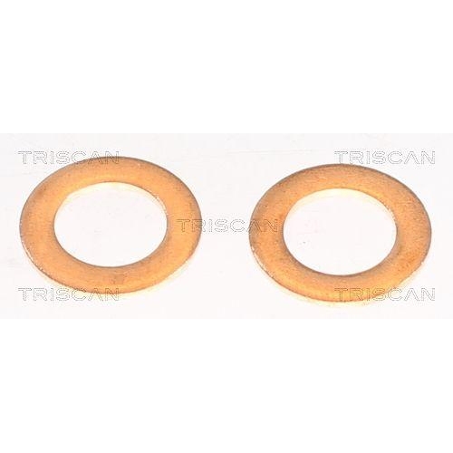 TRISCAN Bremsschlauch