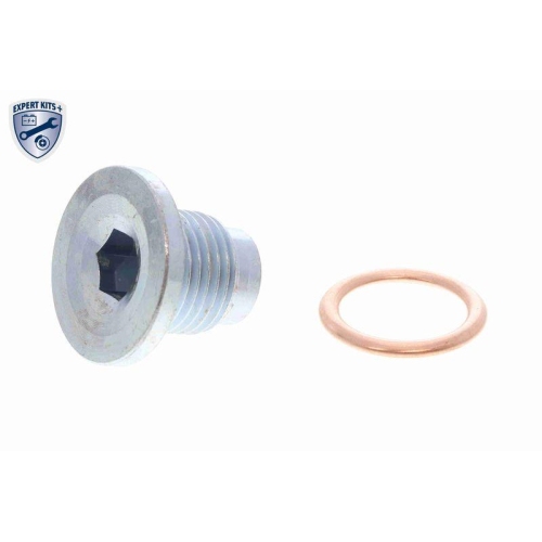 VAICO Zahnriemensatz EXPERT KITS +