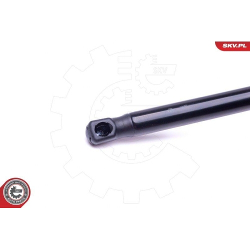 ESEN SKV Gasfeder, Koffer-/Laderaum