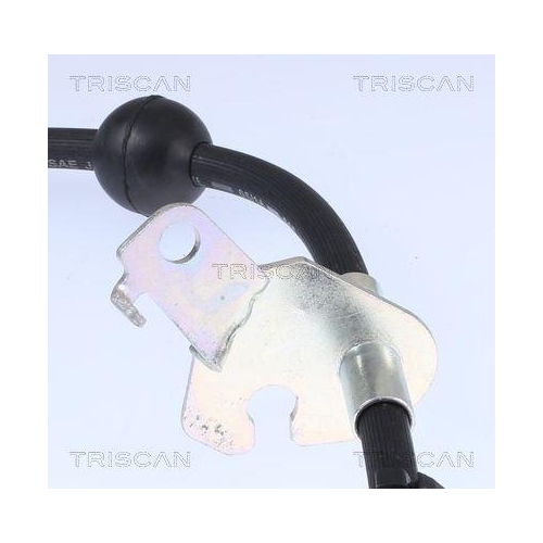 TRISCAN Bremsschlauch