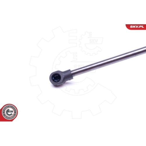 ESEN SKV Gasfeder, Koffer-/Laderaum