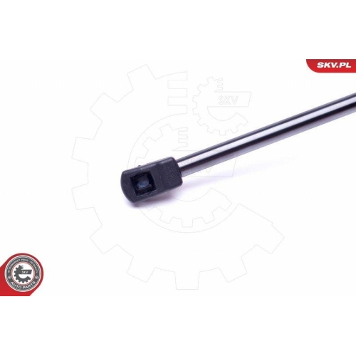 ESEN SKV Gasfeder, Koffer-/Laderaum