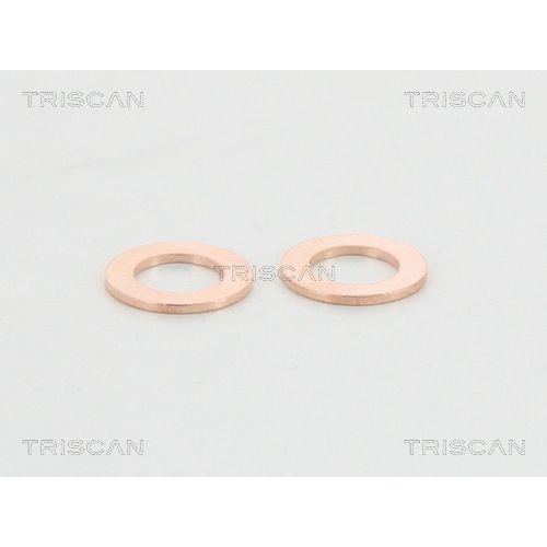 TRISCAN Bremsschlauch