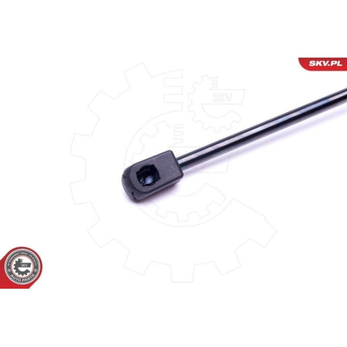 ESEN SKV Gasfeder, Koffer-/Laderaum