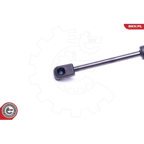 ESEN SKV Gasfeder, Koffer-/Laderaum