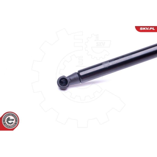 ESEN SKV Gasfeder, Koffer-/Laderaum